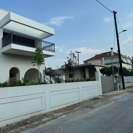 Angel * Káto Ássos