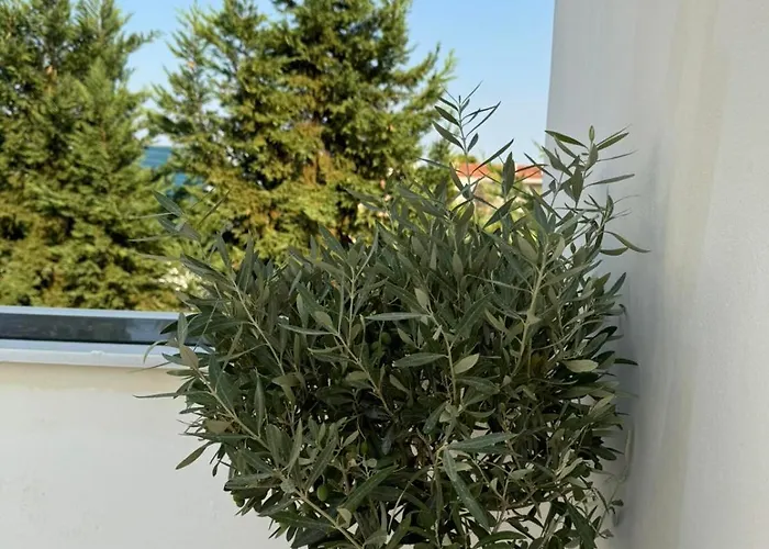 Nyaraló Angel Káto Ássos